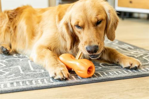 Show full view: West Paw Natural Parsley & Mint Large Sticks Dental Dog Chew Treats, 14-oz bag, 7 count slide 4 of 11