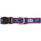 Show in main carousel: The Worthy Dog Christmas Ski Nylon Dog Collar, Navy, Large: 14 to 20-in neck, 1-in wide slide 4 of 5