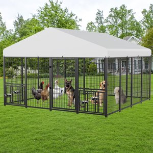 LovMor Heavy Duty Outdoor Dog Kennel with Rotating 4 Bowls, Black, 10 x 10 x 6.5 ft