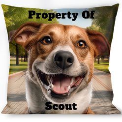 Buckle-Down Personalized Throw Pillow, 14-in x 14-in