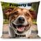 Show in main carousel: Buckle-Down Personalized Throw Pillow, 14-in x 14-in slide 1 of 3