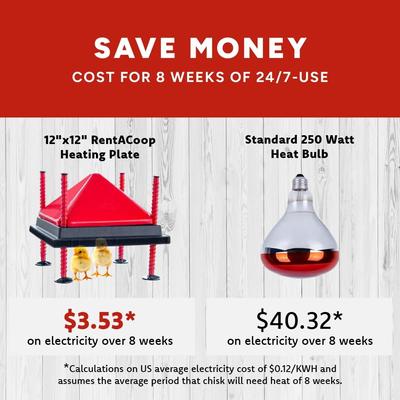 Show full view: RentACoop Chick Brooder Heating Plate & Anti-Roost Cone Set, 12 x 12-in, 22 watt slide 3 of 8