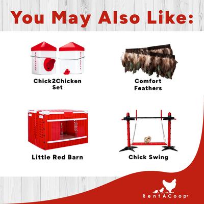 Show full view: RentACoop Chick Brooder Heating Plate, 10 x 10-in, 15 watt slide 6 of 8