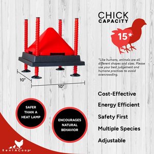 RentACoop Chick Brooder Heating Plate & Anti-Roost Cone Set, 10" x 10", 15-W