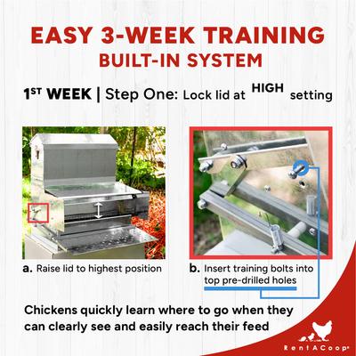 Show full view: RentACoop Automatic Metal Poultry Treadle Feeder, 40-lb slide 6 of 9