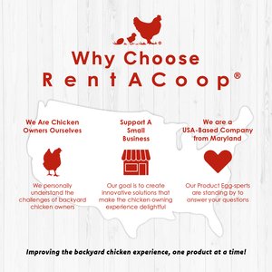 RentACoop Chick Brooder Heating Plate, 12" x 12", 22-W