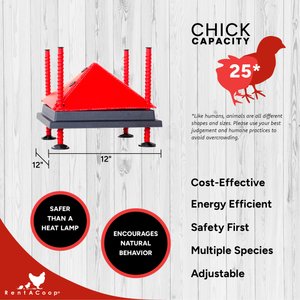 RentACoop Chick Brooder Heating Plate, 12" x 12", 22-W