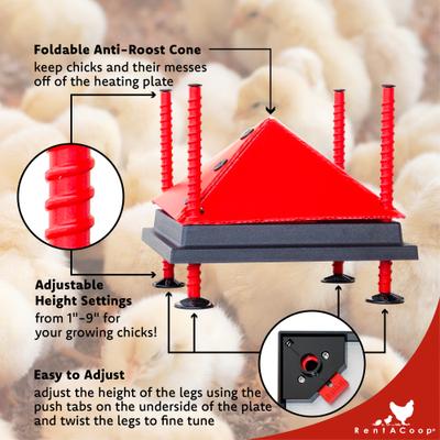 Show full view: RentACoop Chick Brooder Heating Plate, 12 x 12-in, 22 watt slide 2 of 8