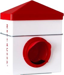 RentACoop Chick2Chicken BPA-Free Single-Port Feeder, 2.5-lb