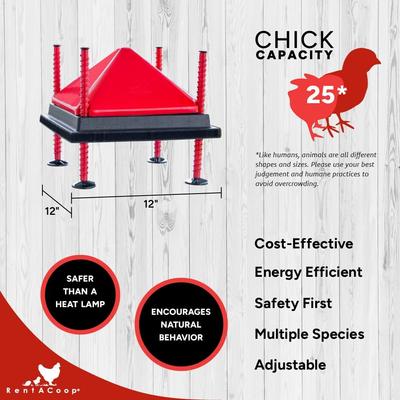 Show full view: RentACoop Chick Brooder Heating Plate & Anti-Roost Cone Set, 12 x 12-in, 22 watt slide 5 of 8
