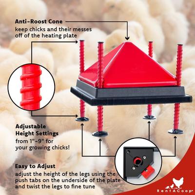 Show full view: RentACoop Chick Brooder Heating Plate & Anti-Roost Cone Set, 12 x 12-in, 22 watt slide 2 of 8