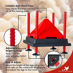 RentACoop Chick Brooder Heating Plate & Anti-Roost Cone Set, 10" x 10", 15-W