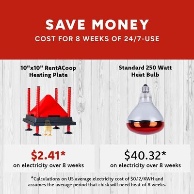 Show full view: RentACoop Chick Brooder Heating Plate & Anti-Roost Cone Set, 10 x 10-in, 15 watt slide 3 of 9