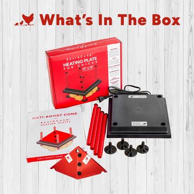 Show full view: RentACoop Chick Brooder Heating Plate, 10 x 10-in, 15 watt slide 5 of 8