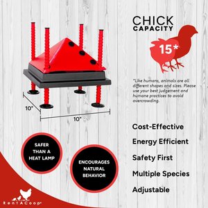RentACoop Chick Brooder Heating Plate, 10" x 10", 15-W