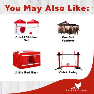 Show full view: RentACoop Chick Brooder Heating Plate, 12 x 12-in, 22 watt slide 6 of 8