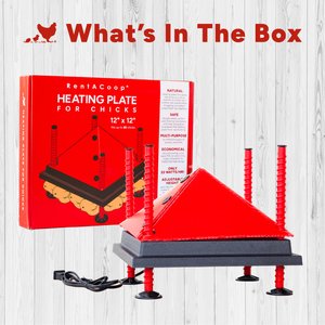 RentACoop Chick Brooder Heating Plate, 12" x 12", 22-W