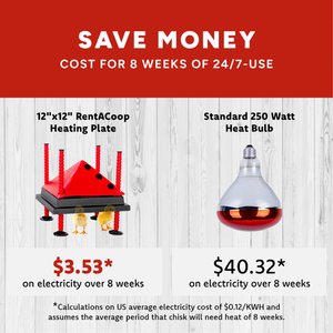 RentACoop Chick Brooder Heating Plate, 12" x 12", 22-W