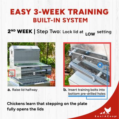 Show full view: RentACoop Automatic Metal Poultry Treadle Feeder, 40-lb slide 7 of 9