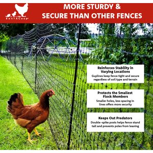 RentACoop Poultry Fence, Black, 48-in x 100-ft roll