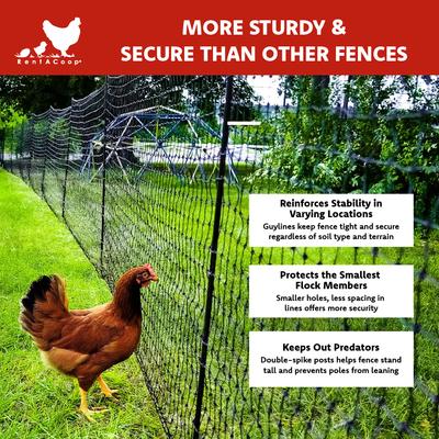 Show full view: RentACoop Poultry Boundary Fence, Black, 100-ft x 48-in roll slide 2 of 10
