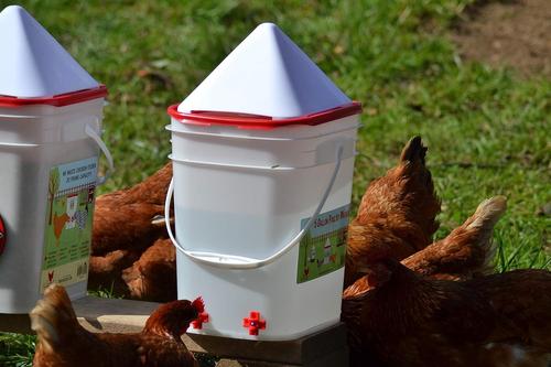Show full view: RentACoop Anti-Roost Corner Placed Chicken Waterer, 5-gal slide 4 of 6