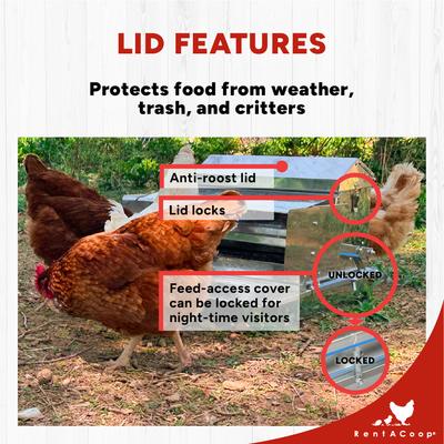 Show full view: RentACoop Automatic Metal Treadle Chicken Feeder, 25-lb slide 3 of 9