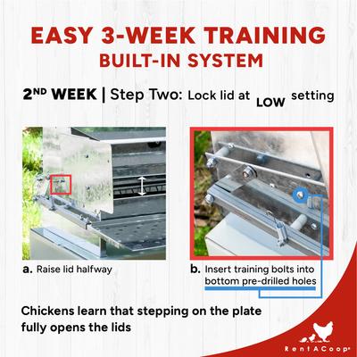 Show full view: RentACoop Automatic Metal Treadle Chicken Feeder, 25-lb slide 7 of 9