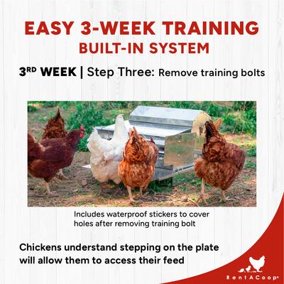 Show full view: RentACoop Automatic Metal Treadle Chicken Feeder, 25-lb slide 8 of 9