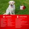 Show in main carousel: PetVet Medic First Aid Kit for Dogs, Large slide 6 of 6