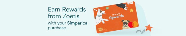 Dr. Elsey's cleanprotein Salmon Kibble Cat Dry Food