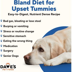 Dave's Pet Food Restricted Bland Diet Sensitive Stomach Digestive Care Chicken & Rice Canned Wet Dog Food, 13.2-oz, case of 12