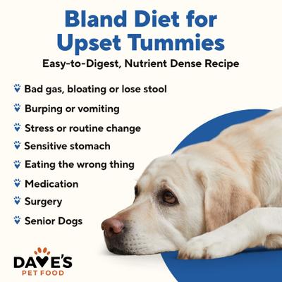 Show full view: Dave's Pet Food Restricted Bland Diet Sensitive Stomach Digestive Care Chicken & Rice Canned Wet Dog Food, 13.2-oz, case of 12 slide 3 of 13