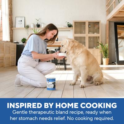 Show full view: Dave's Pet Food Restricted Bland Diet Sensitive Stomach Digestive Care Chicken & Rice Canned Wet Dog Food, 13.2-oz, case of 12 slide 9 of 13