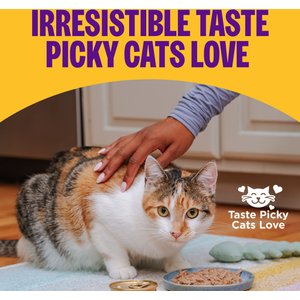 Wellness Complete Health Kitten Variety Pack Grain-Free Canned Cat Food, 3-oz, case of 12