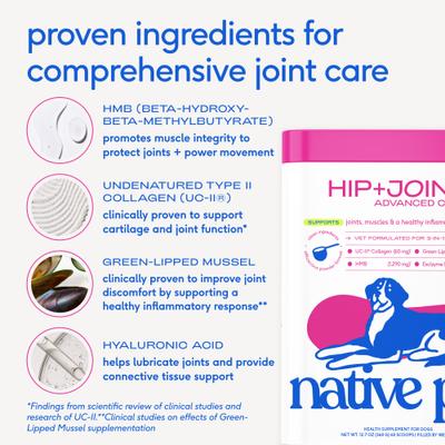 Show full view: Native Pet Advanced Care Beef Flavored Powder Hip & Joint Supplement for Dogs, 12.7-oz slide 6 of 11