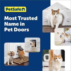 PetSafe Wall Entry Dual Flap Pet Door with Closing Panel, White, Large