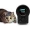 Show in main carousel: SwiftPaws Pounce! Complete Kit Cat Toy, Black slide 1 of 9