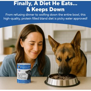 Dave's Pet Food Restricted Bland Diet Sensitive Stomach Digestive Care Chicken & Rice Canned Wet Dog Food, 13.2-oz, case of 12