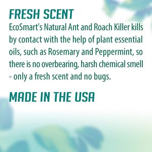 EcoSMART Ant & Roach Killer, 14-fl oz bottle