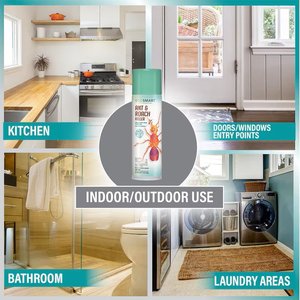 EcoSMART Ant & Roach Killer, 14-fl oz bottle