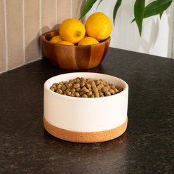 Waggo Corky Non-Slip Removable Cork Base Dog & Cat Bowl, 4-cup, Olive slide 2 of 8