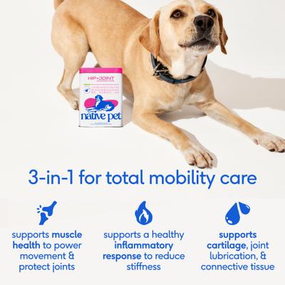Show full view: Native Pet Advanced Care Beef Flavored Powder Hip & Joint Supplement for Dogs, 12.7-oz slide 5 of 11