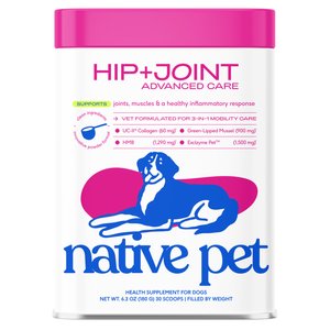 Native Pet Advanced Care Beef Flavored Powder Hip & Joint Supplement for Dogs, 6.3-oz