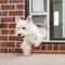 Show in main carousel: PetSafe Extreme Weather Sliding Glass Cat & Dog Door, White, Medium slide 1 of 9
