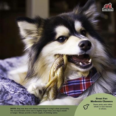 Show full view: Redbarn 7" Odor-Free Braided Bully Stick Dog Treat, 1 count slide 3 of 11