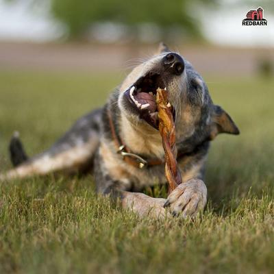 Show full view: Redbarn 7" Odor-Free Braided Bully Stick Dog Treat, 1 count slide 4 of 11