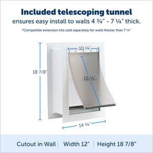 PetSafe Wall Entry Dual Flap Pet Door with Closing Panel, White, Large