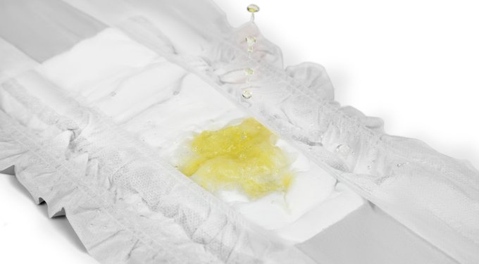 Pet Parents DiPees Belly Band Diapers & Disposable Male Dog Wraps & Extendrs