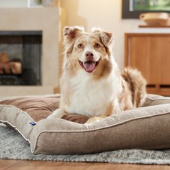 Frisco Orthopedic Sofa Cat & Dog Bed with Removable Cover, Beige, X-Large